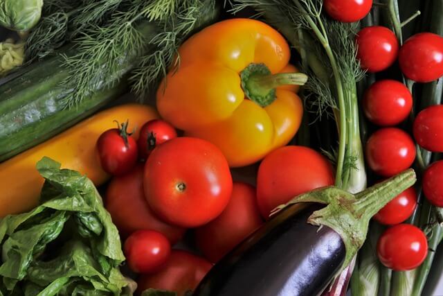 The Power of Plant-Based Nutrition: A Guide to a Balanced Vegan Diet